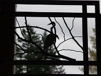 2016 PortlandZoo-65 : United States, Oregon, Hillsboro