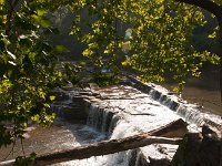 2017 CataractFallsIn-01