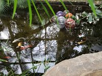 2025 QuadCityBotanicalGarden-04 : Moline, Eric Edberg Birthday Trip Moline IL