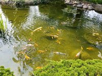 2025 QuadCityBotanicalGarden-05 : Moline, Eric Edberg Birthday Trip Moline IL