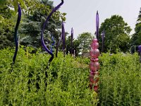2025 QuadCityBotanicalGarden-10 : Moline, Eric Edberg Birthday Trip Moline IL